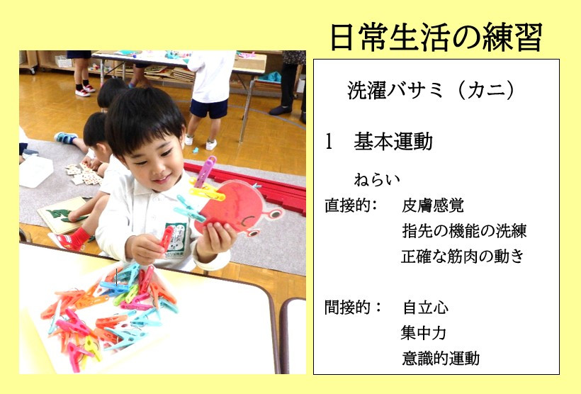 モンテッソーリ教具・教材の紹介「日常生活練習」 | ちどり幼稚園