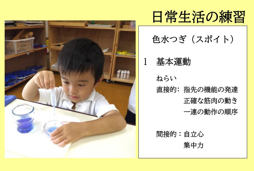 モンテッソーリ教具・教材の紹介「日常生活練習」 | ちどり幼稚園