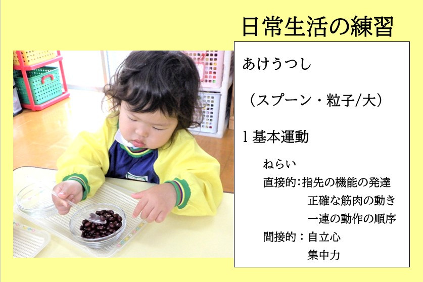 モンテッソーリ教具・教材の紹介「日常生活練習」 | ちどり幼稚園