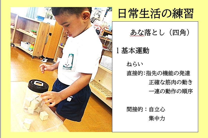 モンテッソーリ教具・教材の紹介「日常生活練習」 | ちどり幼稚園
