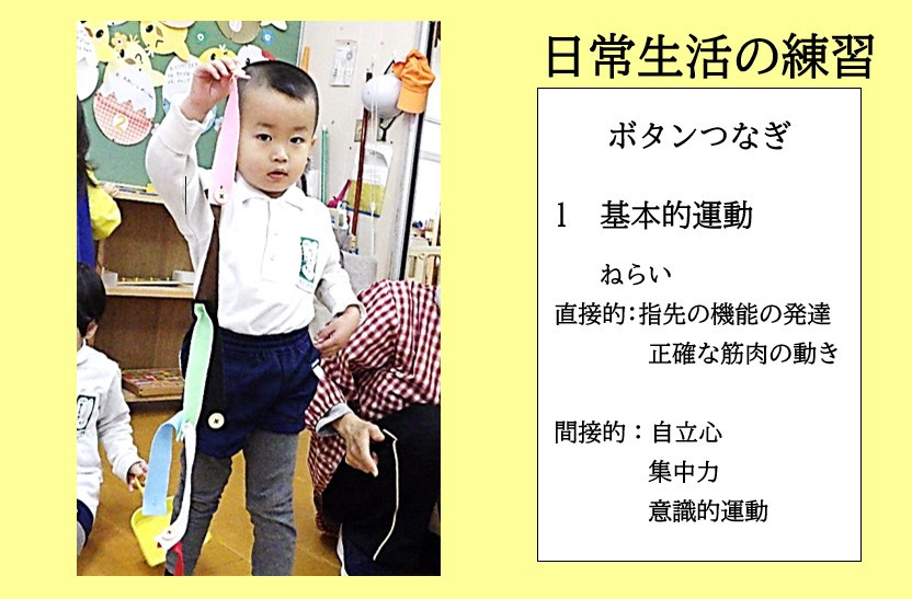 モンテッソーリ教具・教材の紹介「日常生活練習」 | ちどり幼稚園