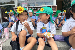 BASD7548