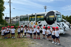 LCEL5176