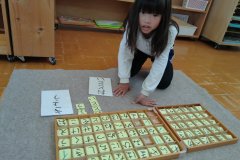 KODAK Digital Still Camera