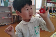 KODAK Digital Still Camera