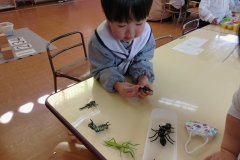 KODAK Digital Still Camera