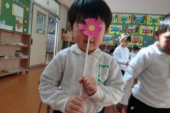 KODAK Digital Still Camera