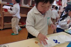 KODAK Digital Still Camera