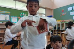 KODAK Digital Still Camera