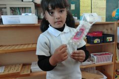 KODAK Digital Still Camera