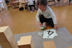 KODAK Digital Still Camera