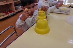 KODAK Digital Still Camera