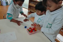 KODAK Digital Still Camera