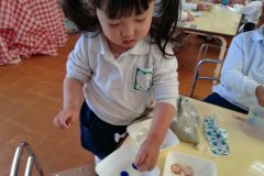 KODAK Digital Still Camera