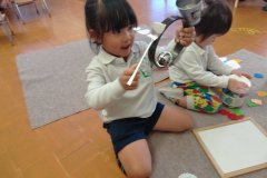 KODAK Digital Still Camera