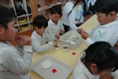 KODAK Digital Still Camera