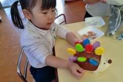 KODAK Digital Still Camera