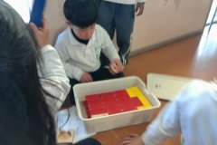 KODAK Digital Still Camera