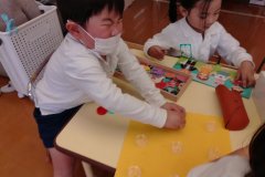 KODAK Digital Still Camera