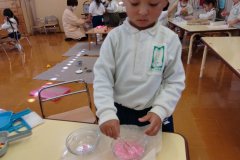 KODAK Digital Still Camera