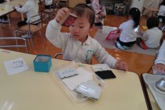 KODAK Digital Still Camera