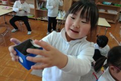 KODAK Digital Still Camera