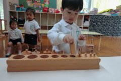 KODAK Digital Still Camera