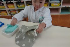 KODAK Digital Still Camera