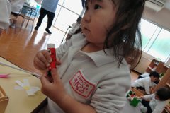 KODAK Digital Still Camera