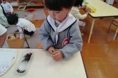 KODAK Digital Still Camera