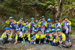 IRES8175