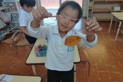 KODAK Digital Still Camera