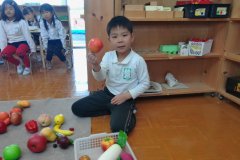 KODAK Digital Still Camera