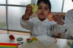 KODAK Digital Still Camera