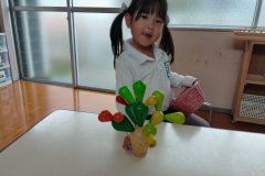 KODAK Digital Still Camera