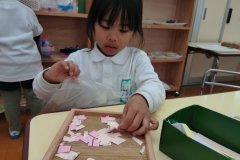 KODAK Digital Still Camera