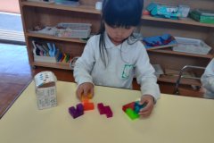 KODAK Digital Still Camera