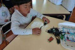 KODAK Digital Still Camera