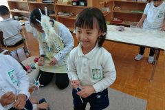 KODAK Digital Still Camera