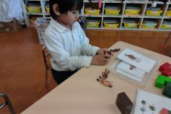 KODAK Digital Still Camera