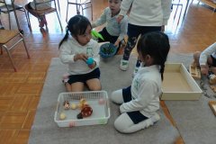 KODAK Digital Still Camera