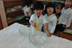 KODAK Digital Still Camera