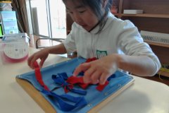 KODAK Digital Still Camera