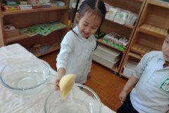 KODAK Digital Still Camera