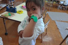 KODAK Digital Still Camera