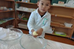 KODAK Digital Still Camera