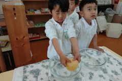 KODAK Digital Still Camera