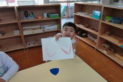 KODAK Digital Still Camera