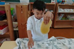 KODAK Digital Still Camera