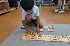 KODAK Digital Still Camera